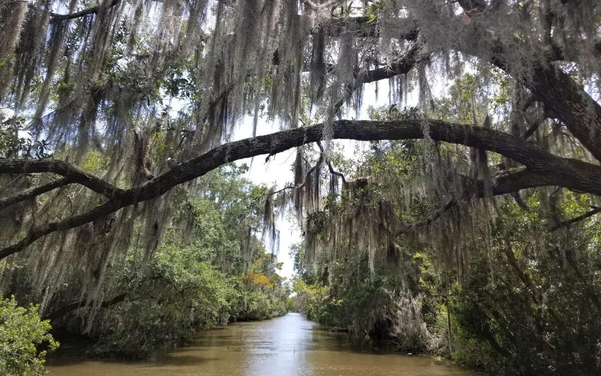 Baton rouge roofers 1 | Louisiana Roofers