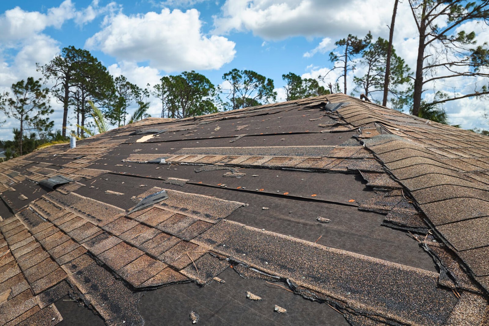 damaged house roof with missing shingles after hur 2024 12 06 05 06 47 utc | Louisiana Roofers